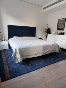 WOVENTALES天织中东进口手工现代Shiraz羊毛Berber地毯291x206