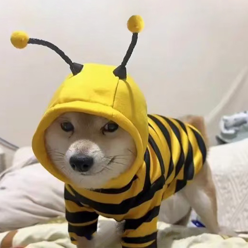 狗狗可爱蜜蜂衣服连帽搞笑柴犬