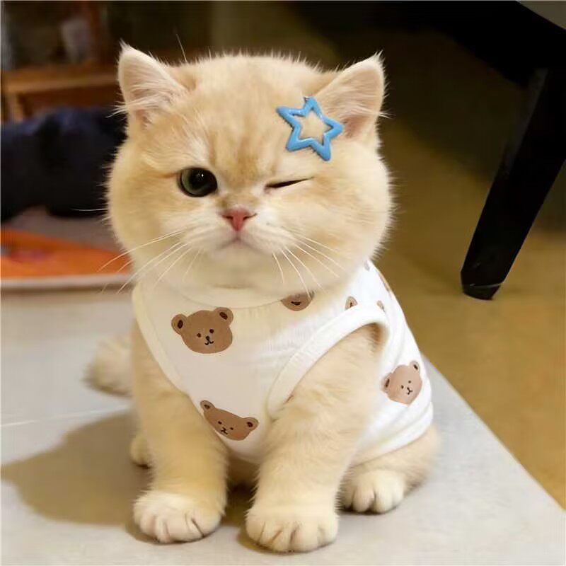 猫咪衣服春夏薄款透气棉纱无袖背心可爱熊头布偶金渐层宠物狗马甲