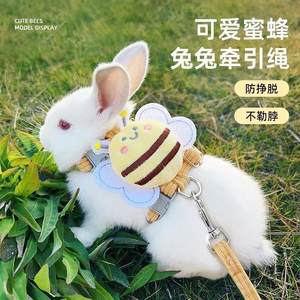 溜兔兔牵引绳宠物侏儒兔子防挣脱