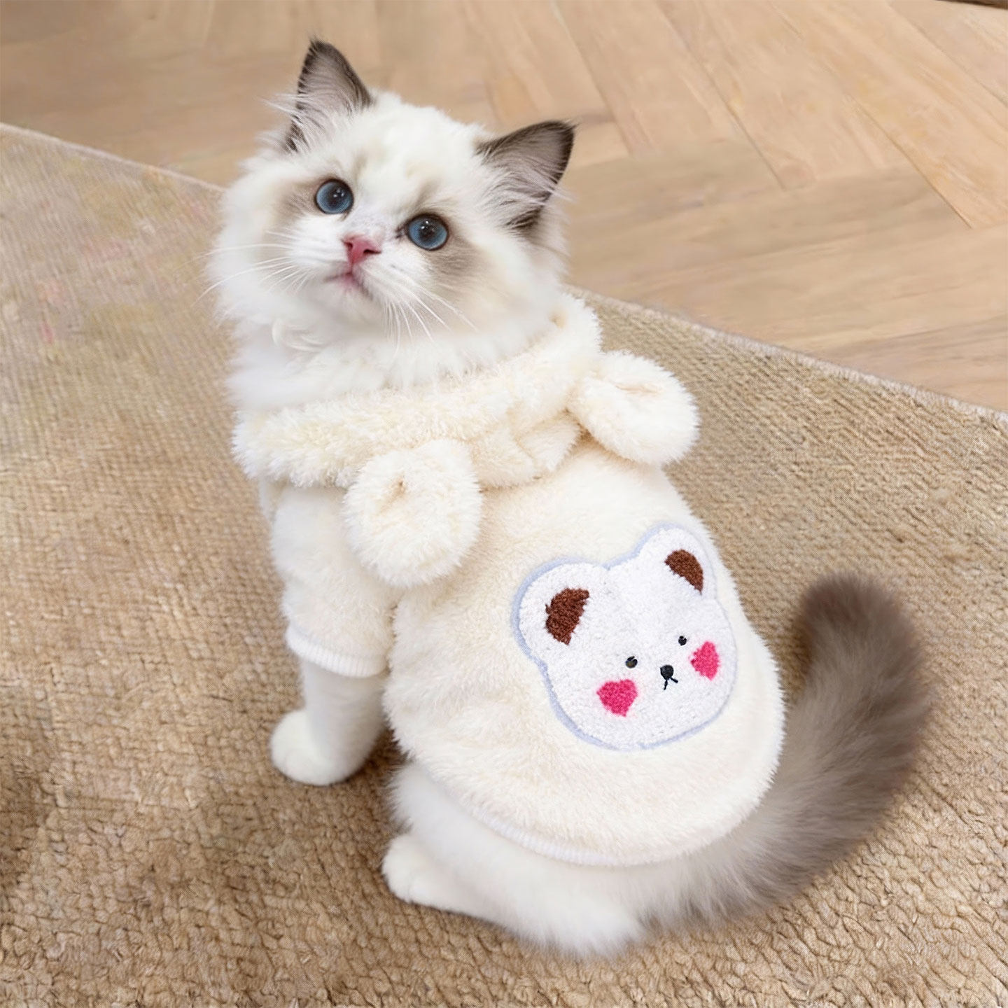 猫咪衣服秋冬加厚防掉毛可爱卡通
