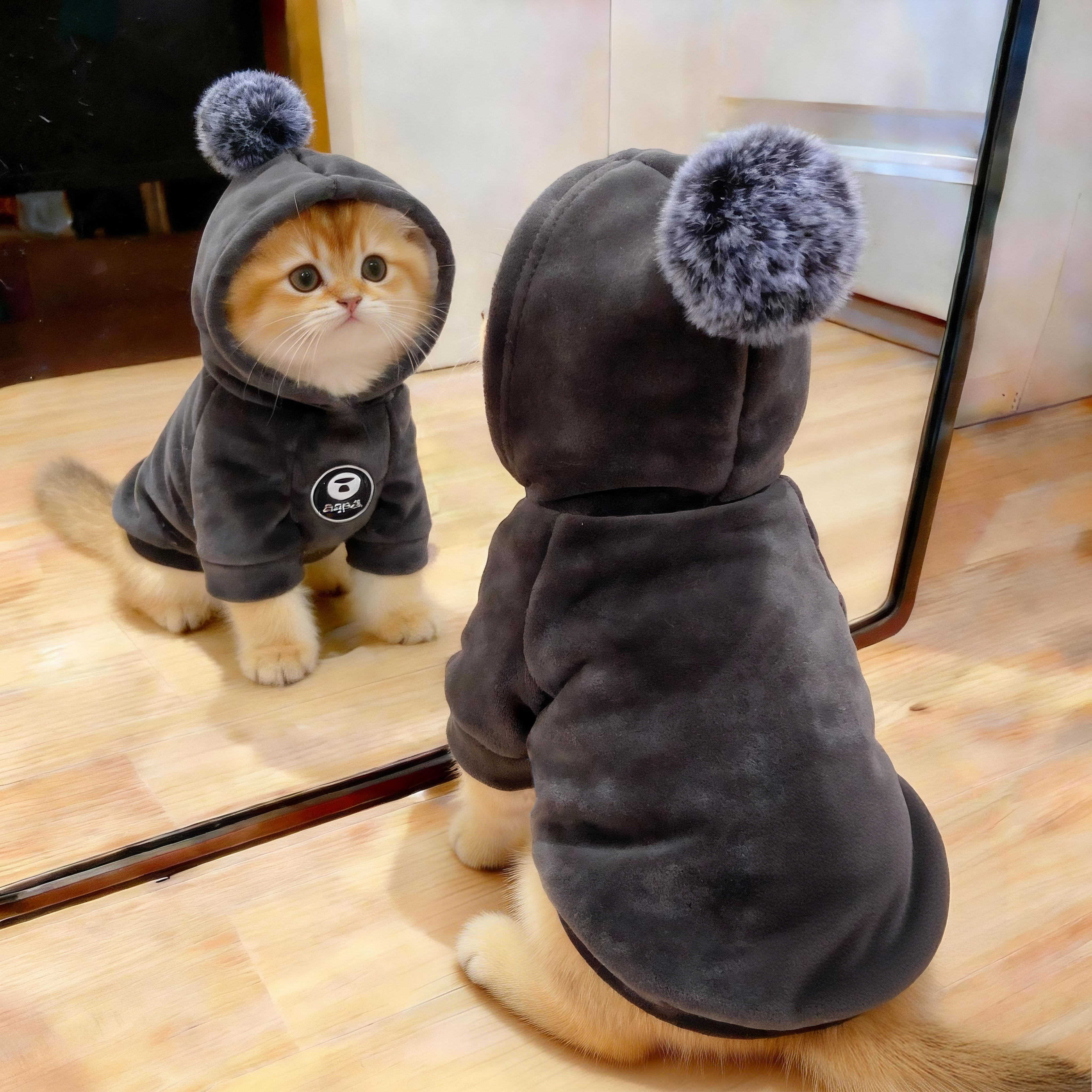 猫咪连帽卫衣秋冬保暖毛球装饰套头衫金渐层布偶英短宠物狗狗衣服,宠物/宠物食品及用品,猫宠物服装/雨衣（新）,淘宝优惠券,粉丝福利购,淘宝优惠卷