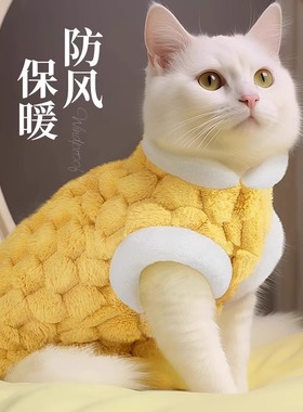 猫咪衣服秋冬季蓝猫英短银渐层幼猫小型犬加厚款宠物狗狗牵引马甲