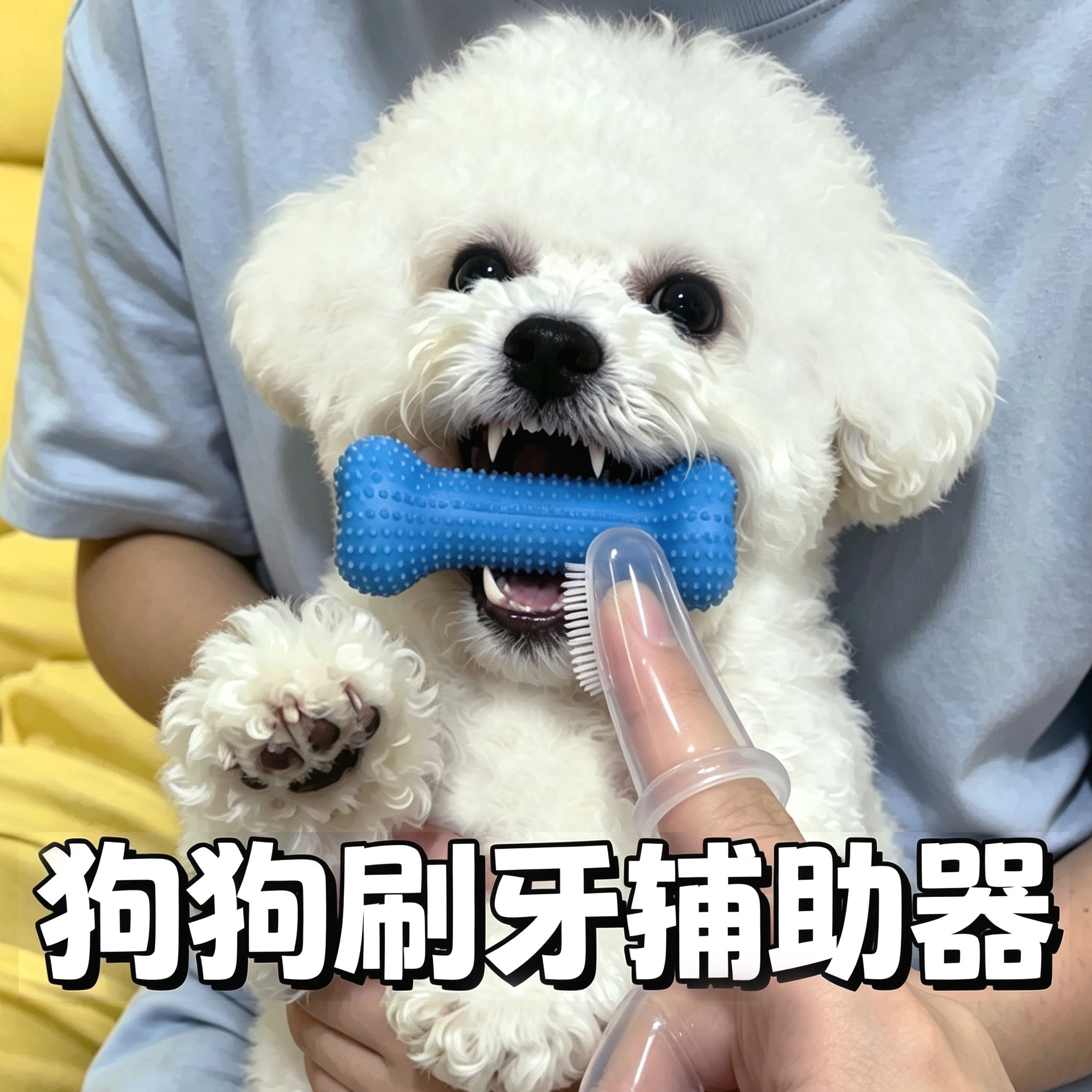 狗狗刷牙辅助器口腔清洁磨牙洁齿