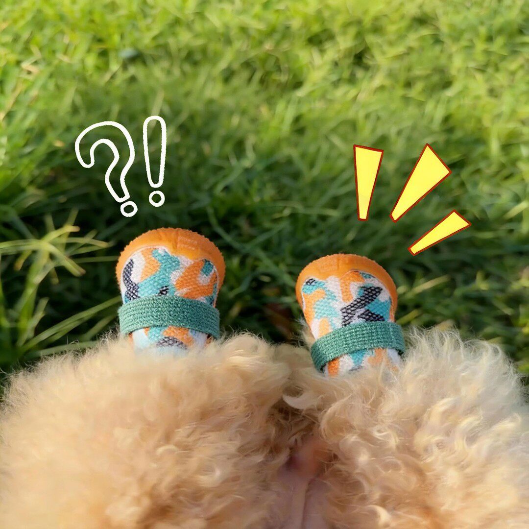 小狗鞋子软底甩不掉魔术贴防滑四季通用防掉脚舒适透气宠物运动鞋