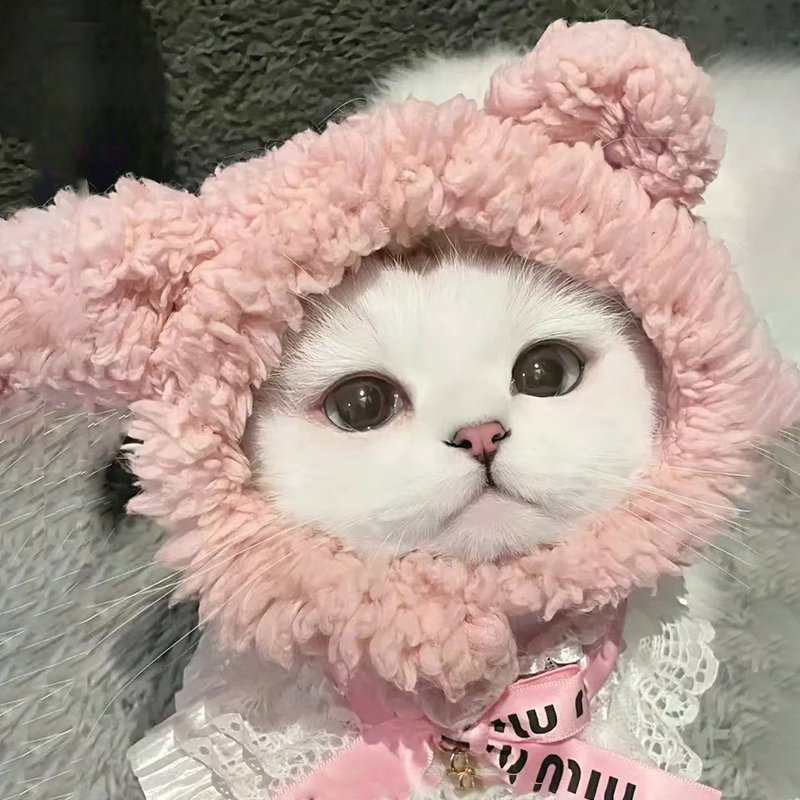 寵物貓咪帽子小熊耳朵頭套可愛