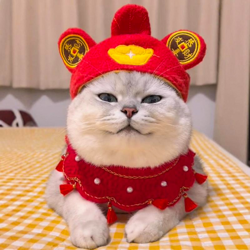 宠物猫咪帽子小狗狗招财头套喜庆