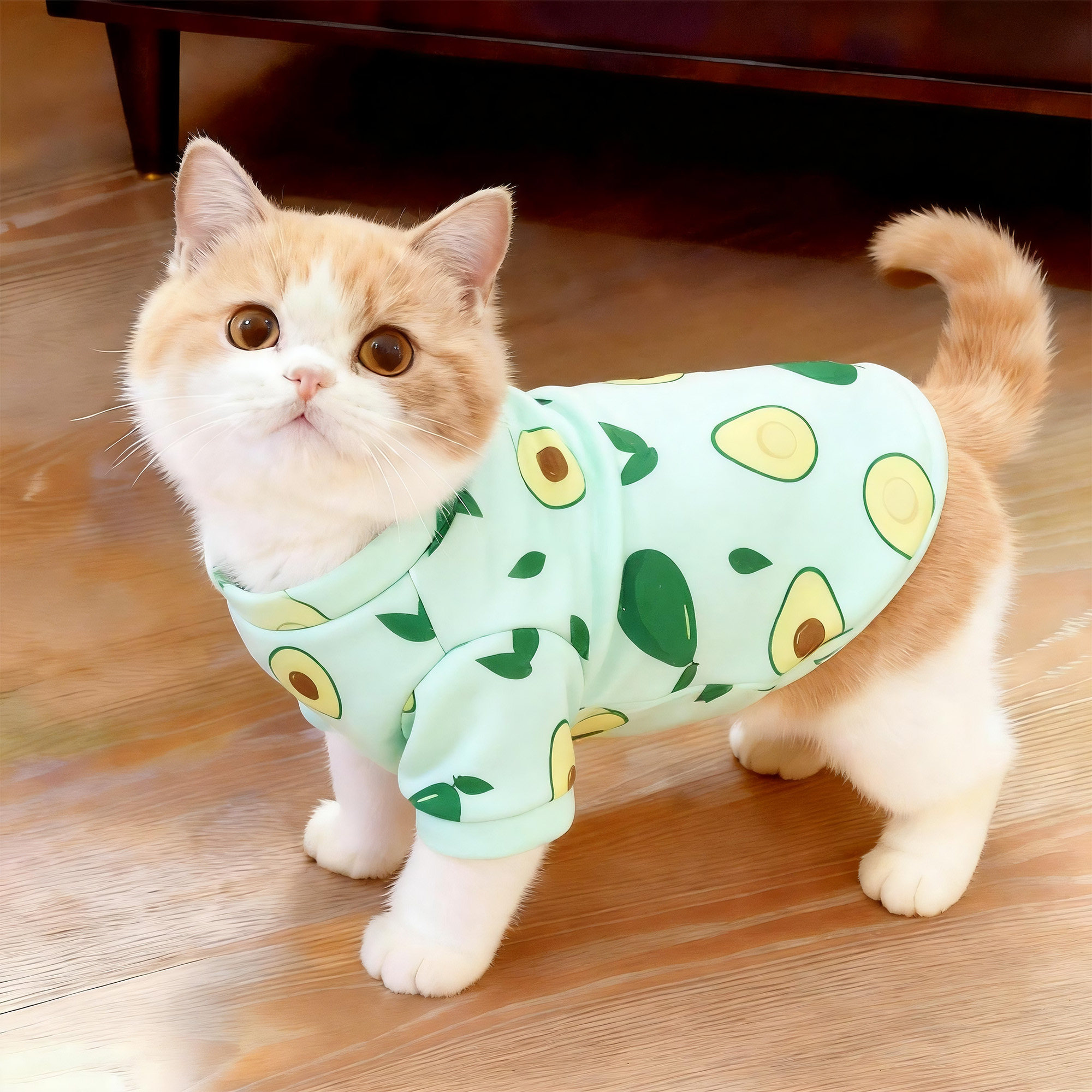 猫咪衣服可爱印花卫衣春秋款防掉毛牛奶丝金渐层布偶宠物狗两脚衣