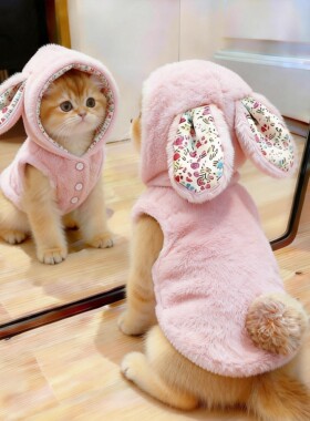 猫咪衣服冬季加绒保暖碎花小兔子连帽棉衣英短金渐层宠物狗狗卫衣