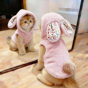 猫咪衣服冬季加绒保暖碎花小兔子连帽棉衣英短金渐层宠物狗狗卫衣