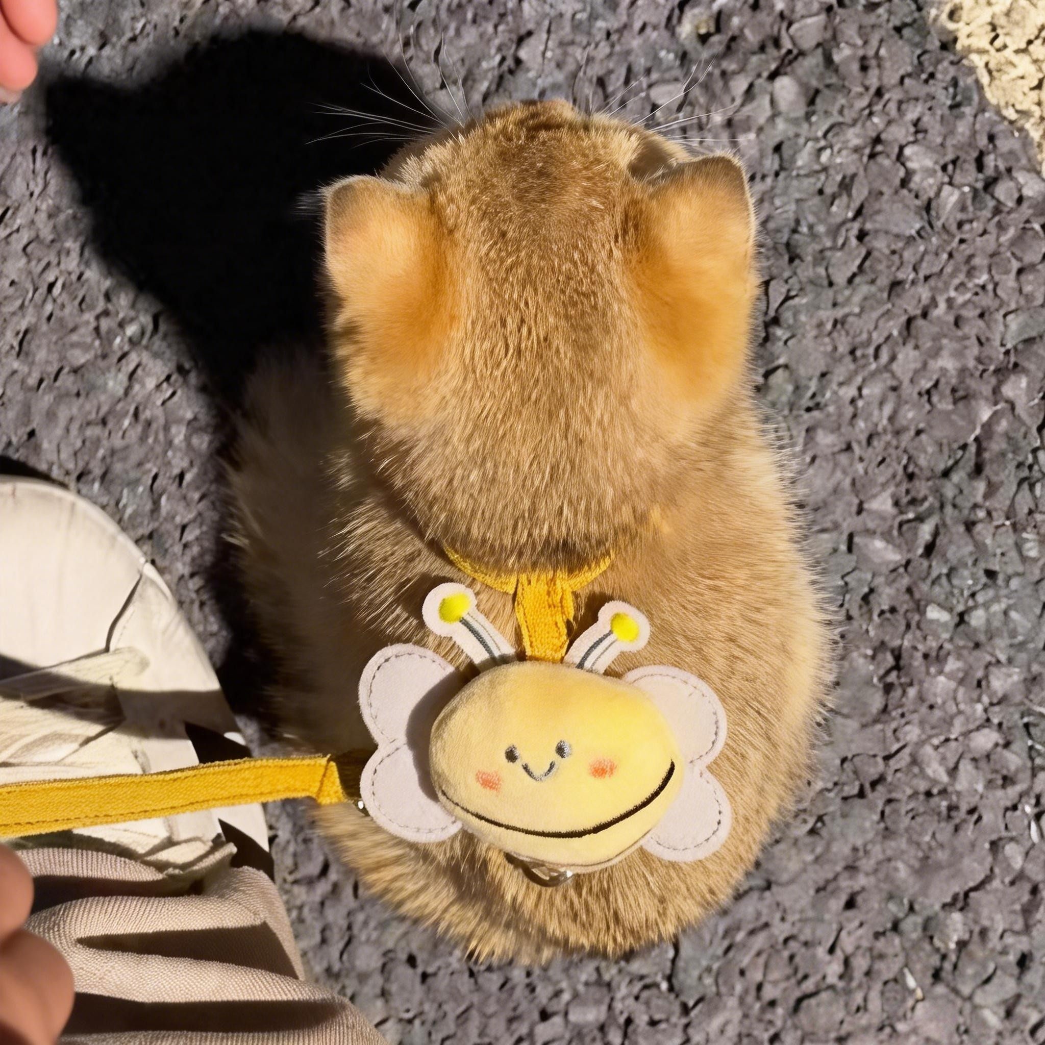 猫咪牵引绳猫绳防挣脱不勒脖遛猫外出专用宠物蜜蜂工字胸背小猫绳,宠物/宠物食品及用品,猫牵引绳,淘宝优惠券,粉丝福利购,淘宝优惠卷