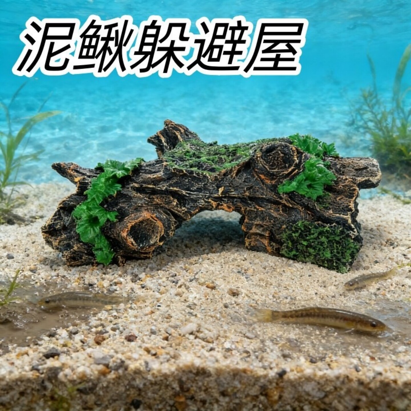 沉水鱼缸造景躲避屋育苗隧道窝