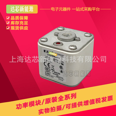 170M3419 170M3420 170M3421 170M3422 170M3423全新巴斯曼熔断器