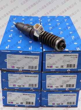 德尔福 BEBE4D13101 BEBE4D13001 20564930 85000590泵喷嘴