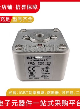 170M5593 170M5594 170M5595 170M5596 170M5597 170M5598熔断器