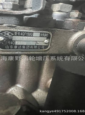 喷油泵4QF150g和4QF231q和4QF218和4Q215和4Q213和4Q491LT