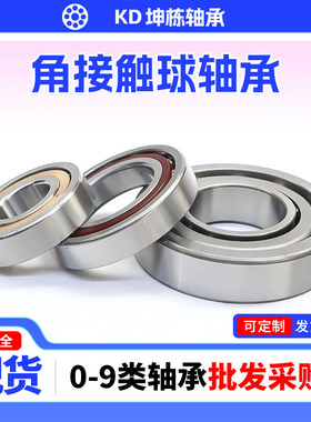 角接触球轴承7313 7314 7315 7316 7317 7318 7319 7320 7322AC/C