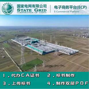 国网标书制作ECP2.0标书制作国家电网标书上传标书代投代办ca锁
