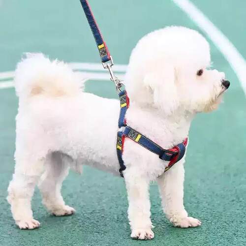 狗狗牵引绳大型中型小型犬狗链子狗项圈泰迪金毛遛狗绳子宠物厂家