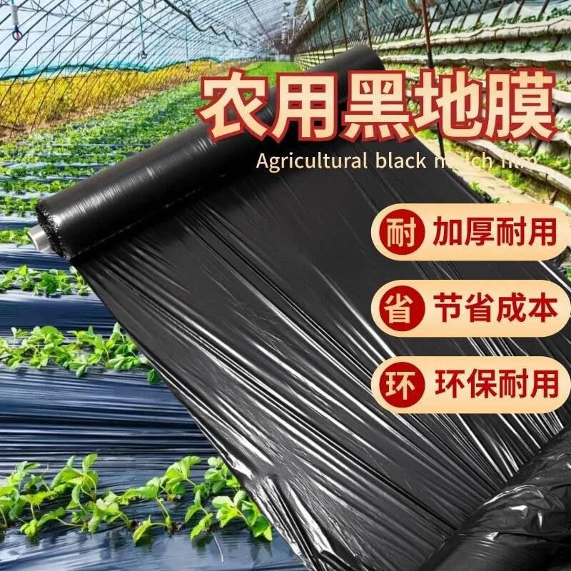 除草保温地膜农用黑地膜可降解黑色塑料薄膜种菜种草莓防虫防厂家