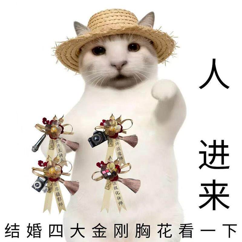 四大金刚胸花化妆师摄影师师主持人督导管家户外森系草坪厂家