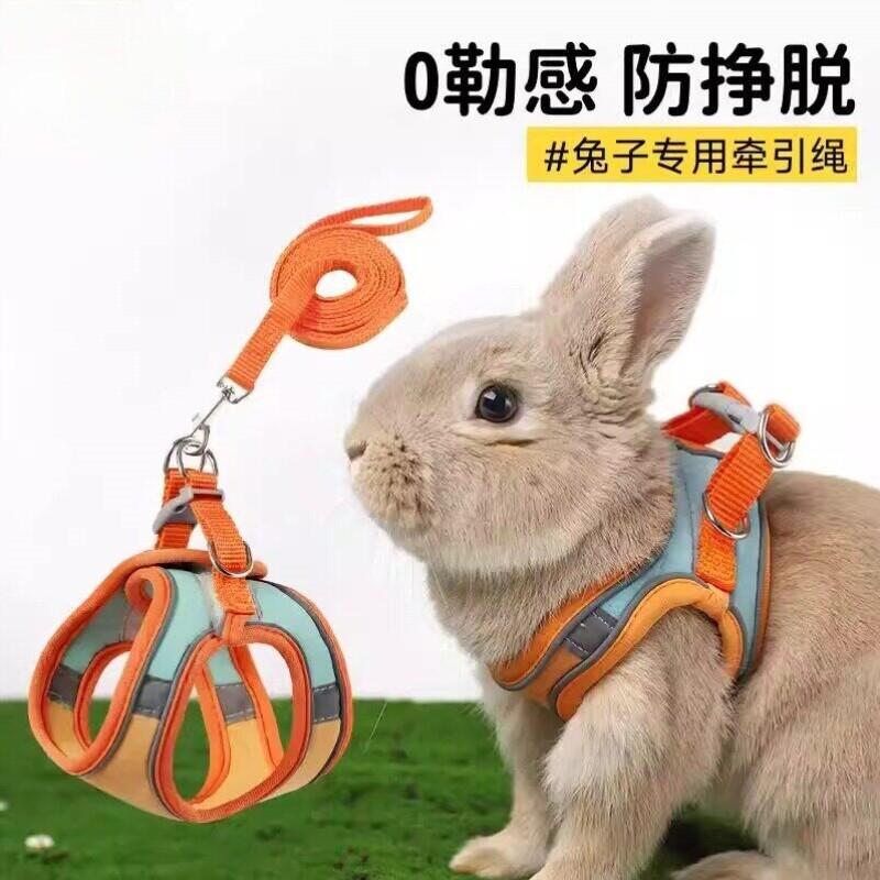 兔子牵引绳遛兔子专用侏儒兔防挣脱可调节宠物溜小兔外出背带厂家