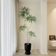 饰花卉 采购产品大型模拟绿色植物 落地装 室内客厅 高 孔雀木