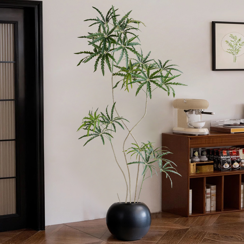 大型落地孔雀木仿真绿植假树盆栽室内客厅装饰摆件轻奢仿生植物