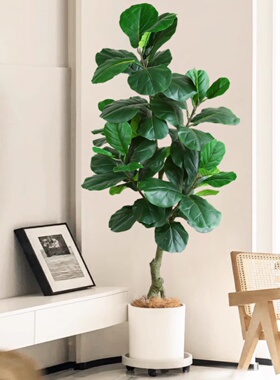 模拟绿色植物叶片无花果大型彷生假绿色植物盆栽室内客厅落地式装
