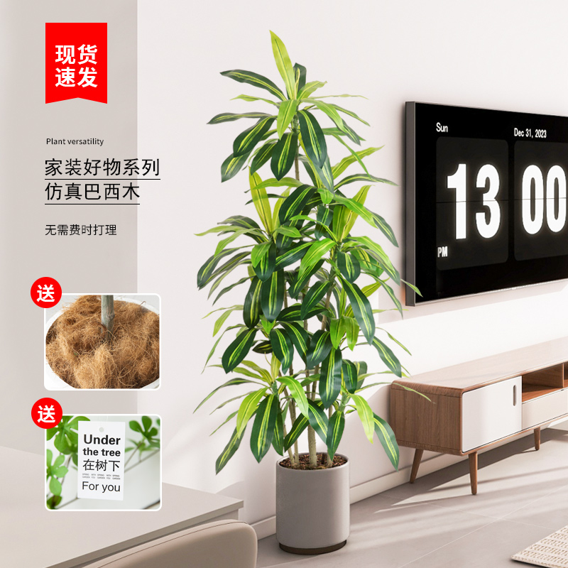 北欧仿真绿植巴西木室内客厅盆栽