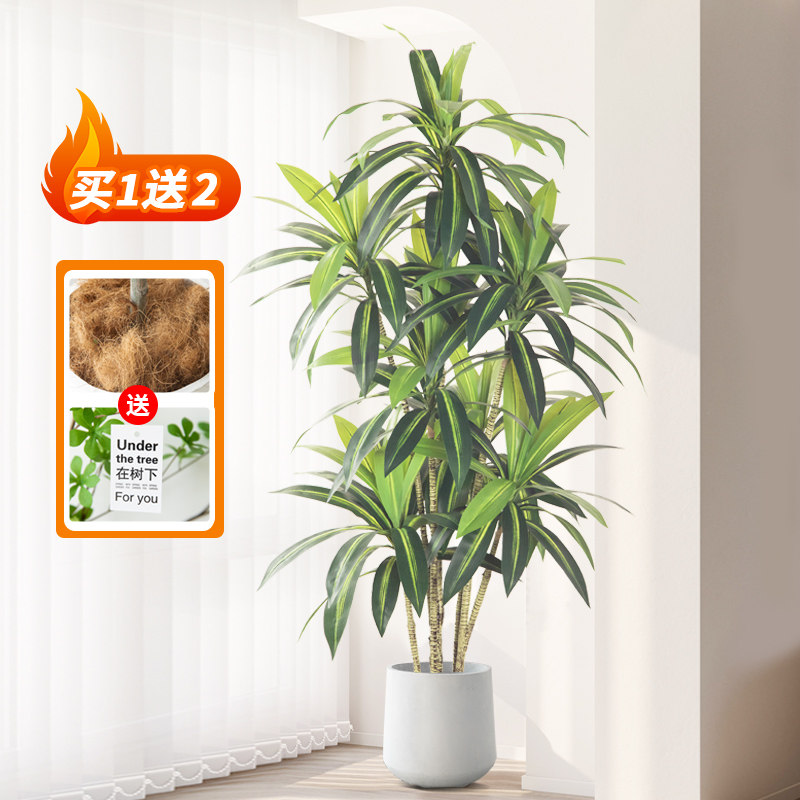 仿真绿植高端轻奢巴西木盆栽北欧ins风客厅仿生落地室内摆件假树