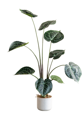 仿真绿植室内落地装饰盆栽假植物