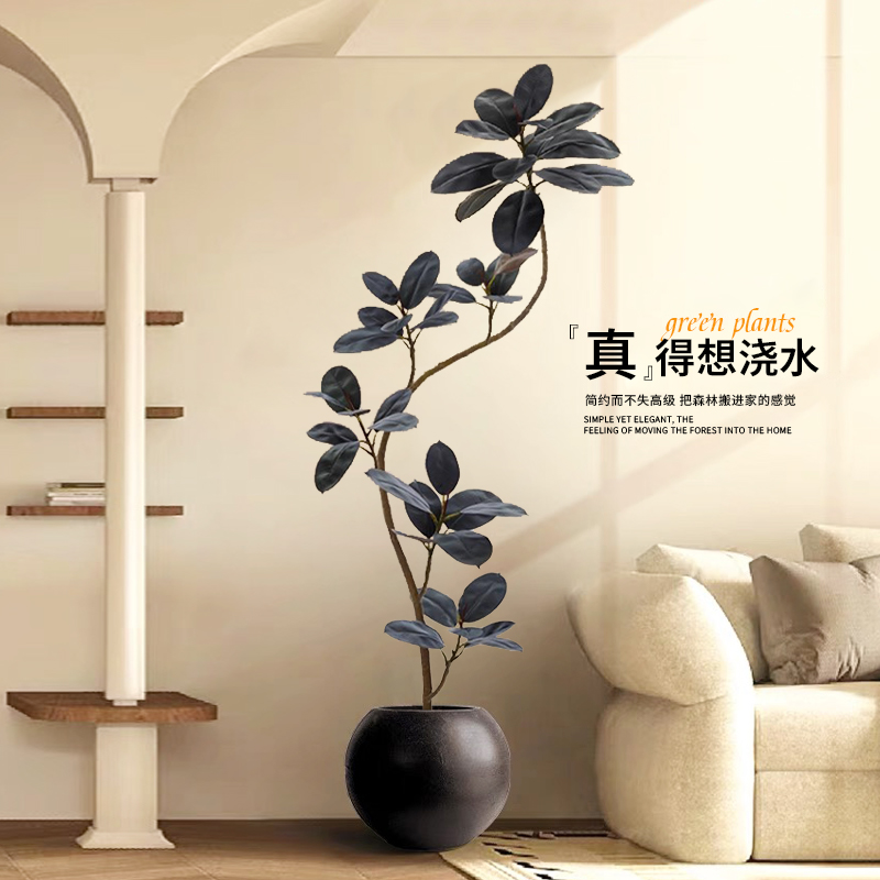 黑金刚橡皮树仿真绿植
