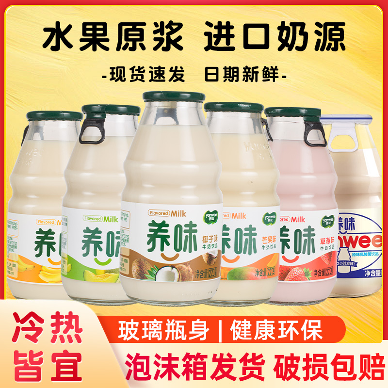 养味瓶装乳酸菌牛奶营养