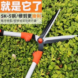 花剪园艺剪刀修剪树枝专用园林家用茶叶果树大枝剪草坪绿化