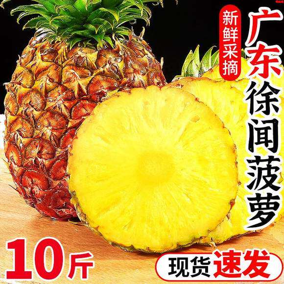 广东徐闻菠萝9斤新鲜水果香水菠萝手撕凤梨金钻波萝大果整箱包邮