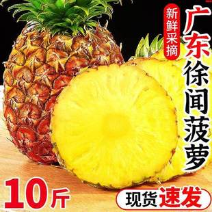 广东徐闻菠萝9斤新鲜水果香水菠萝手撕凤梨金钻波萝大果整箱包邮