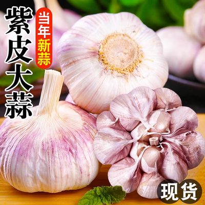 农家干大蒜当季新鲜9斤多瓣蒜