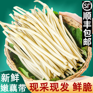 新鲜藕带3斤当季蔬菜顺丰包邮