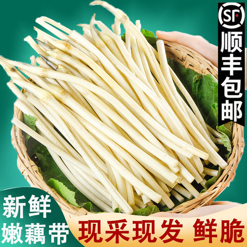 新鲜藕带3斤当季蔬菜顺丰包邮