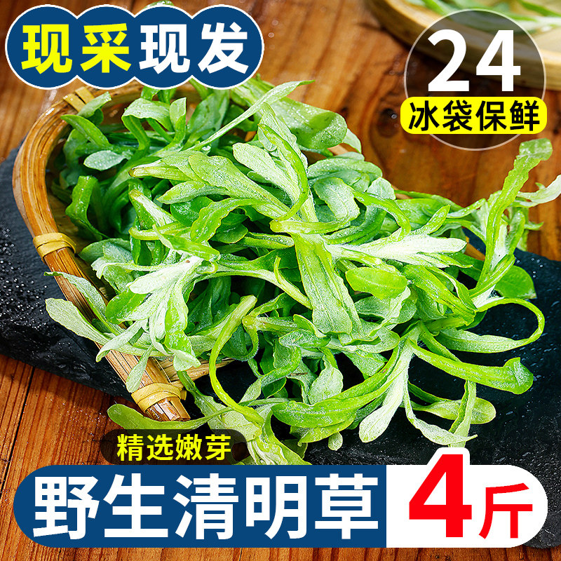 源味情野生鼠曲草新鲜清明菜青团食材天猫券后7.8元