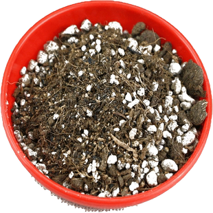 左家花园通用型营养土泥炭种植养花土盆栽多肉花卉种花种菜草炭土