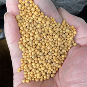 颗粒控释肥5号奥绿肥A2球根肥料长效缓释肥植物球根盆栽花卉基肥