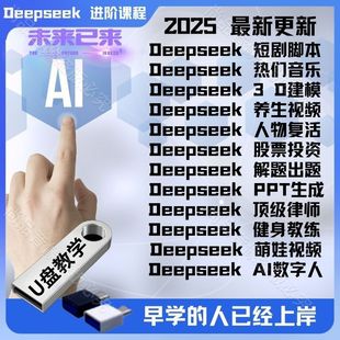 2025年DeepSeek从入门到精通教程本地部署视频AI模型使用教程优盘