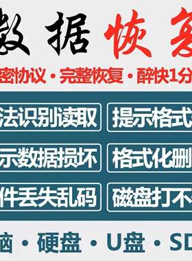 电脑移动硬盘数据恢复U盘内存sd卡照片文件修复硬盘维修软件服务