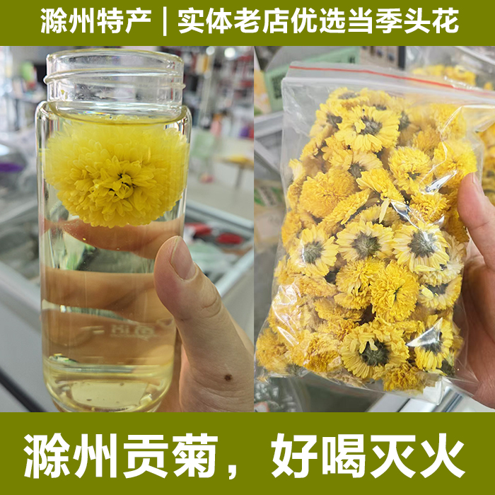 滁州贡菊100克新鲜头花