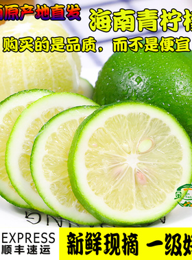 海南现摘柠檬新鲜青柠檬皮薄多汁一级绿色柠檬冲饮奶茶店批发顺丰