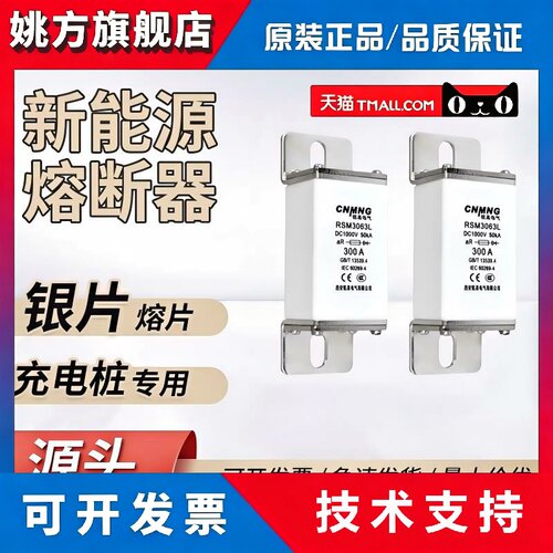 电动汽车直流熔断器DC1000V新能源熔断器RSM3063L(RSY/170M/MEV）