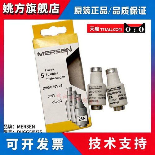 Ferraz shawmut熔断器 保险丝 Lindner DIIGG50V6 500V 6A gL/gG