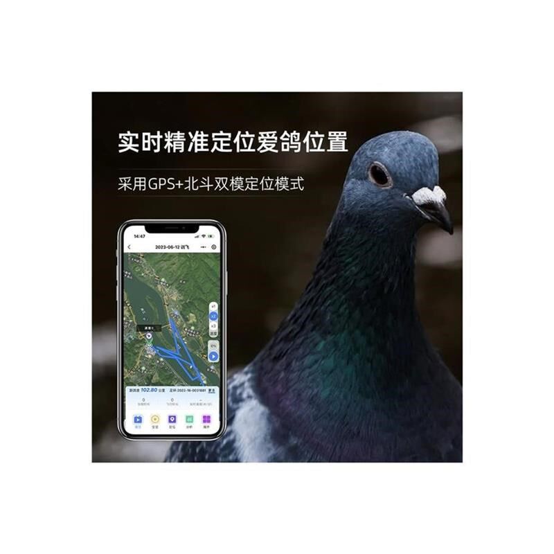 数字鸽信鸽实时定位足环GPyS追踪器信鸽飞行轨迹鸽子电子脚环